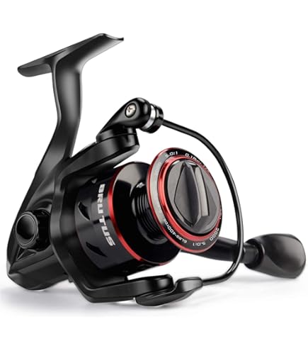 DAIWA - SLP WORKS  SLPW EX SFスプール 2000SS Amazon.com : SLPWORKS Daiwa Slp Works EX SF Spool 2000SS